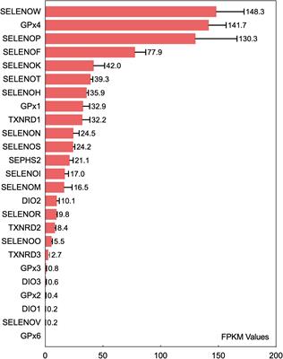 Roles of Selenoproteins in Brain Function and the Potential Mechanism of Selenium in Alzheimer’s Disease